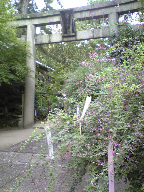 Image014