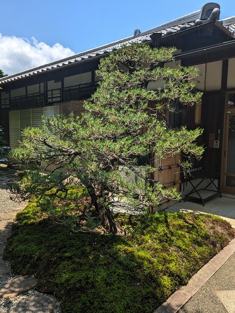 03.松
