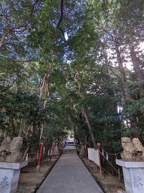 参道2
