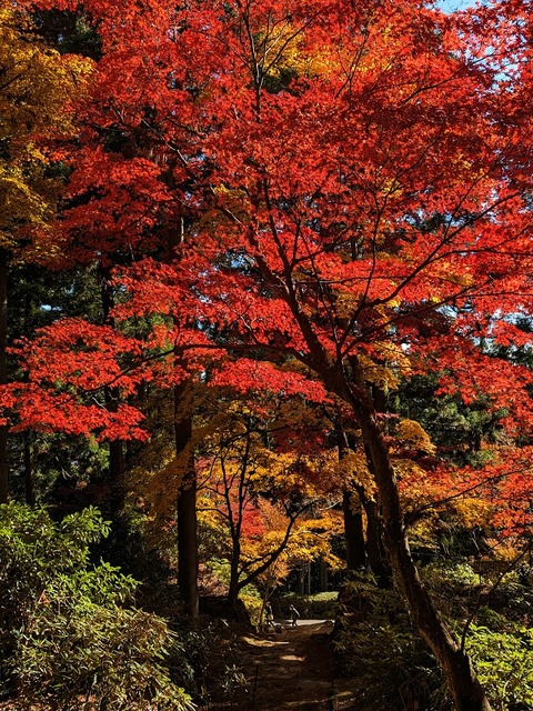 13.南北の通り5