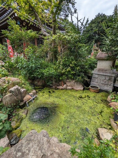 池と一筋の瀧2
