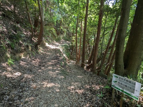 分岐点