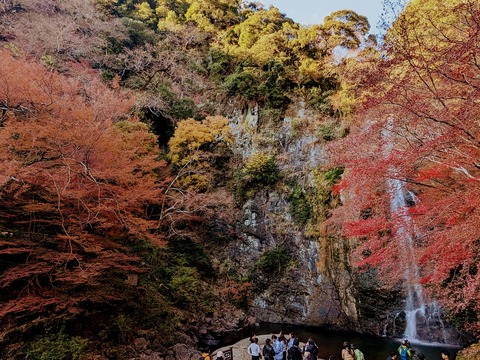 12.大滝14