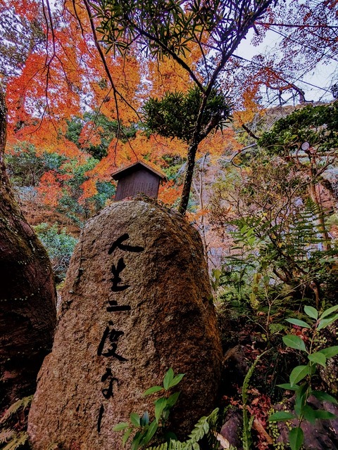 10.人生一度なり