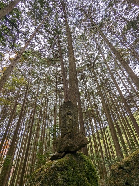 38.山のエリア10