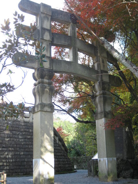 画像 224