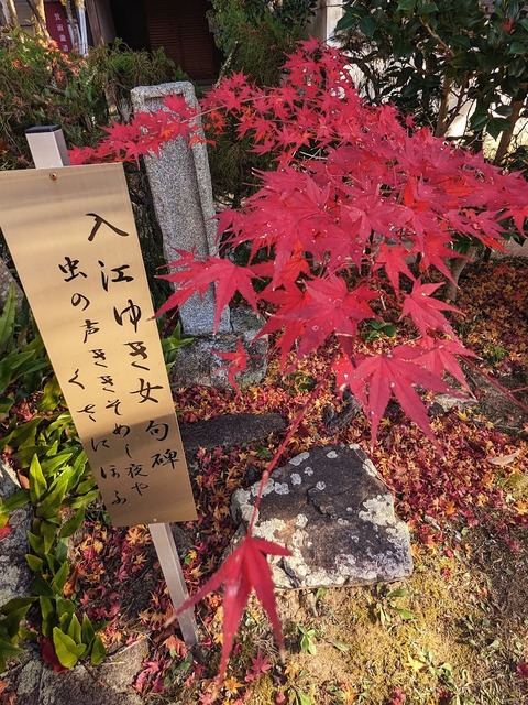 17.入江ゆき女の句碑