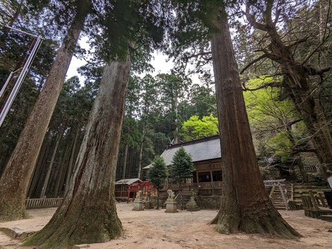 境内2