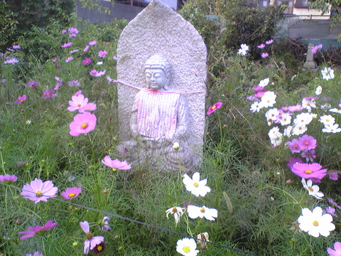 Image084
