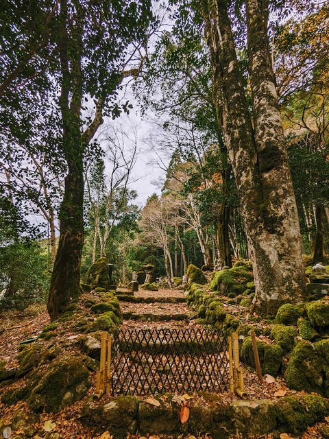 38.山のエリア