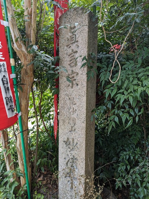 石標