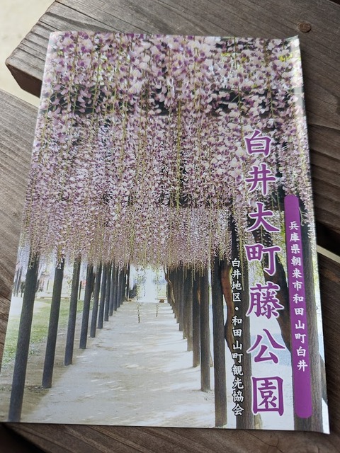 01.白井大町藤公園6