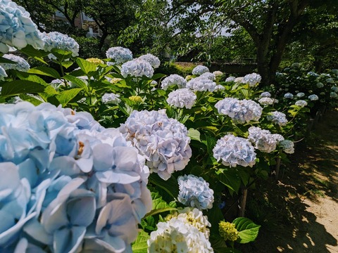 12.右岸北2