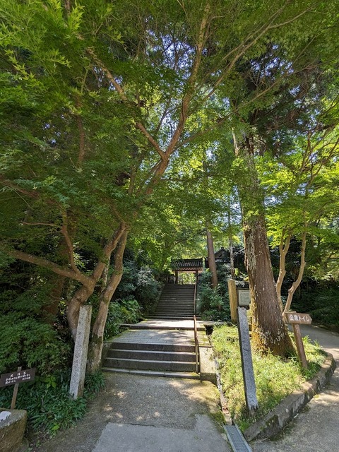 参道