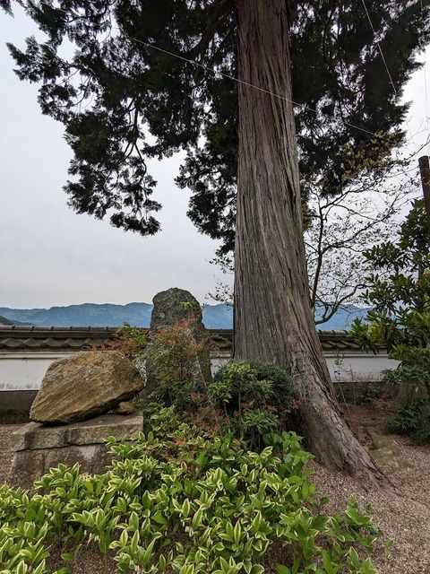 木と石と緑