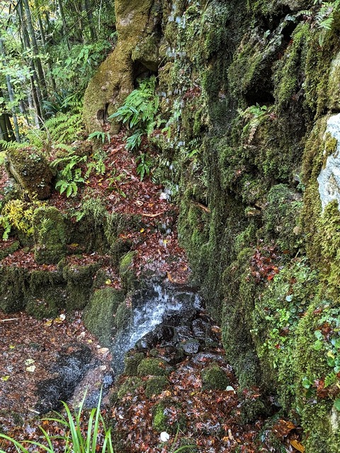 28.一筋の滝2