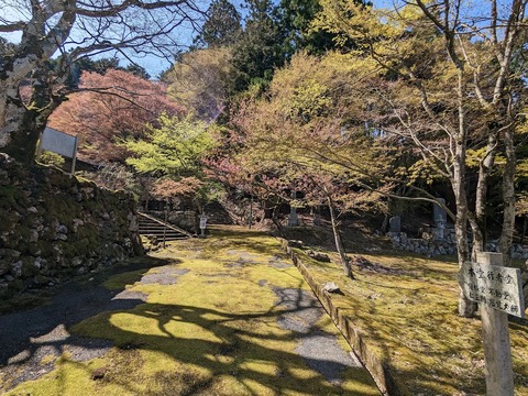 本堂への道