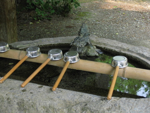 画像 275