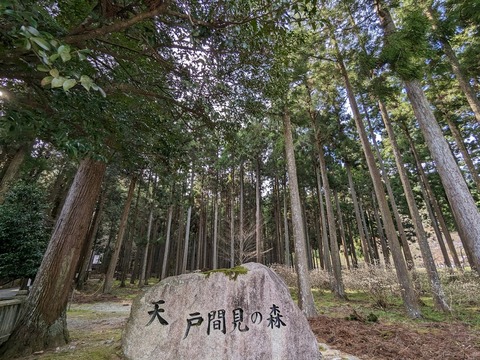 天戸間見の森