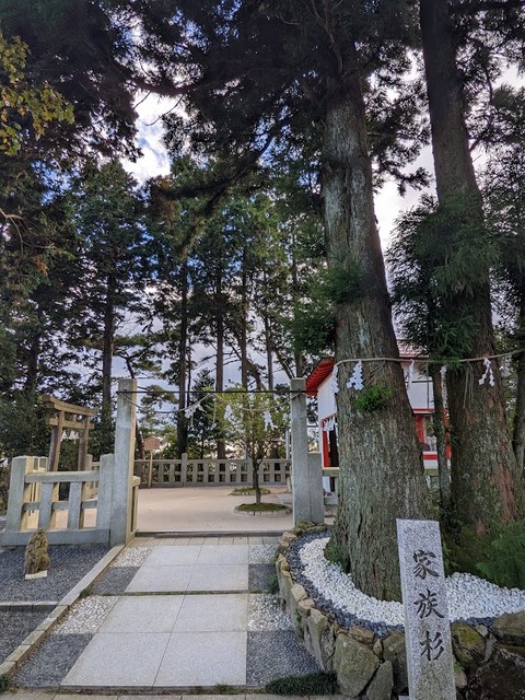家族杉