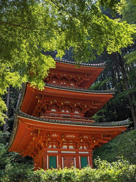 三重塔5