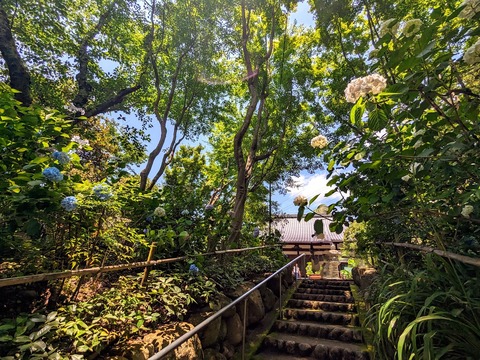 01.頼光寺4