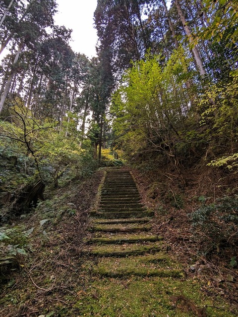 09.石段参道3