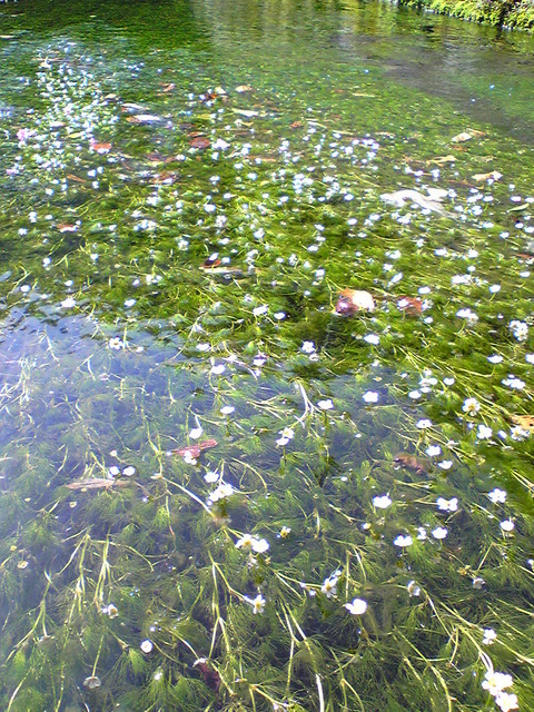 Image011