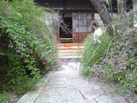 Image017