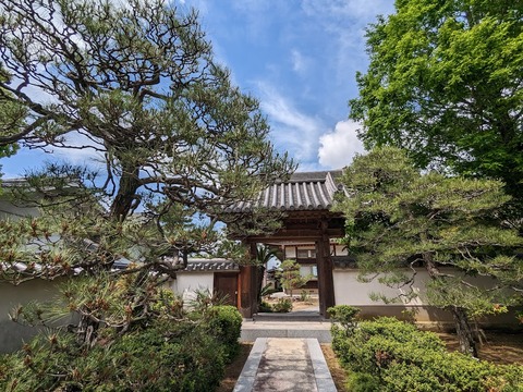 塔頭真光院