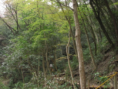 画像 031