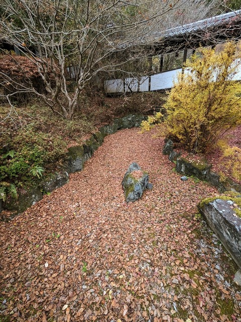 20.光明泉5