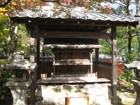 画像 237