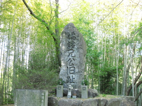 旅 116