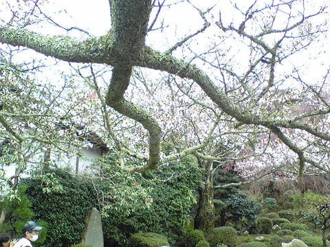 Image200