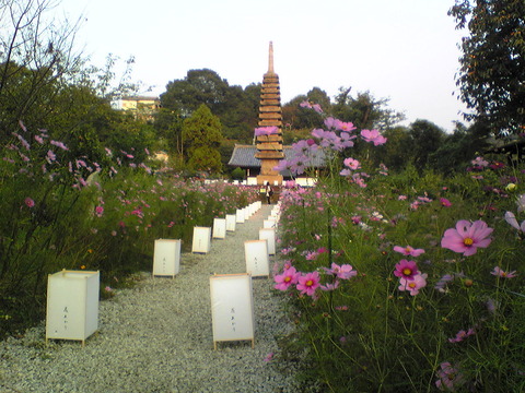 Image083