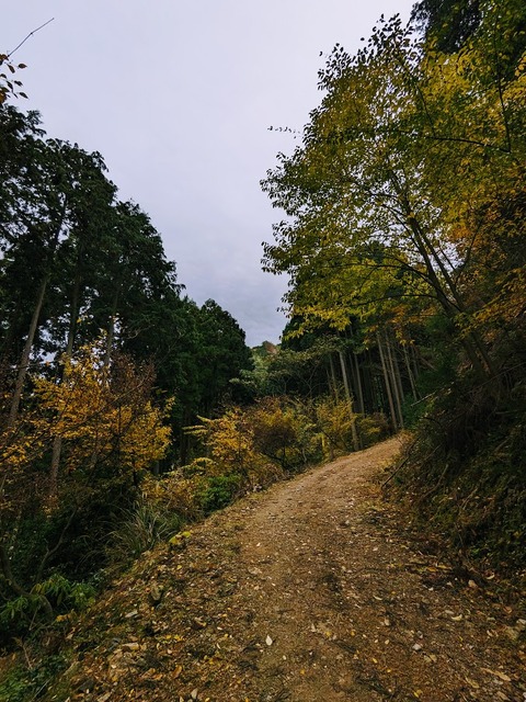 21.登山道5