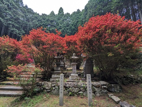 一の宮神社8