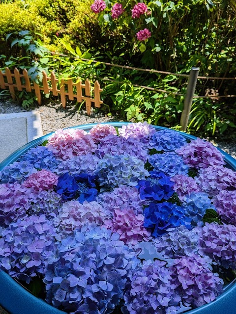 花手水
