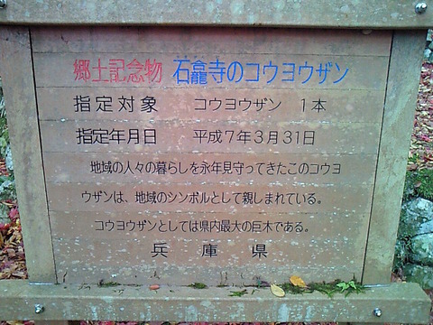 SBCA0049