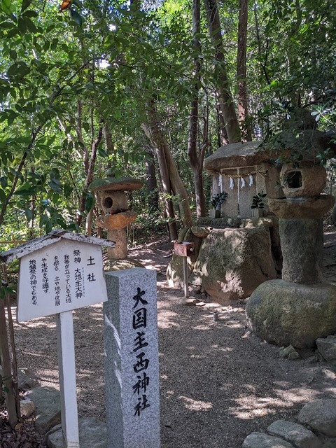 土社