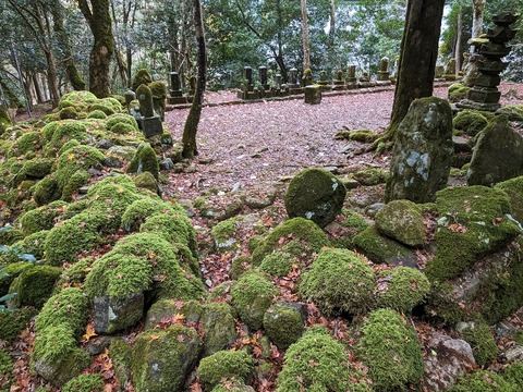 38.山のエリア2