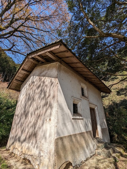 イトサクラの影