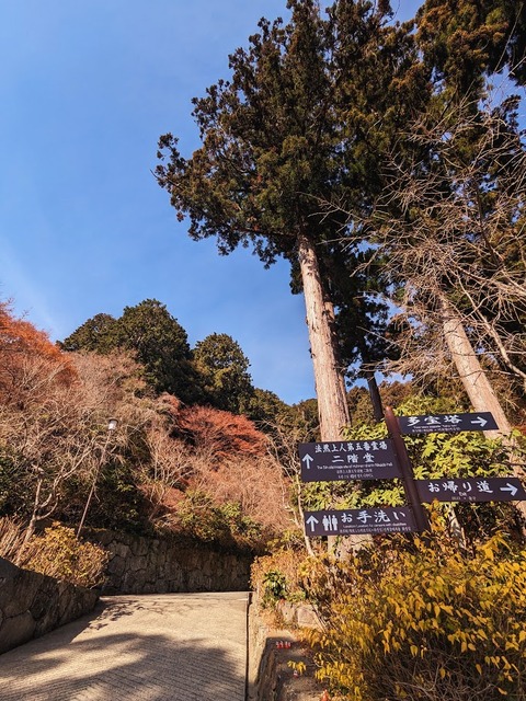 37.参道