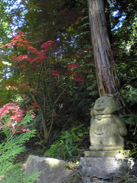 Image125(1)