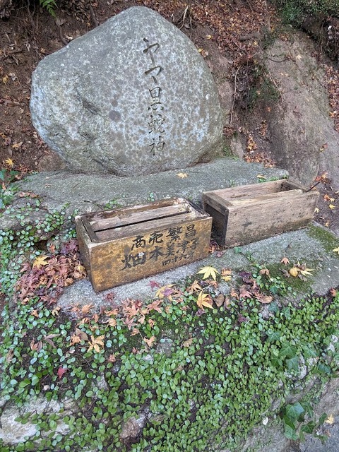 ヤマ黒蛇神