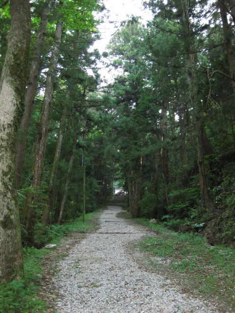 画像 272