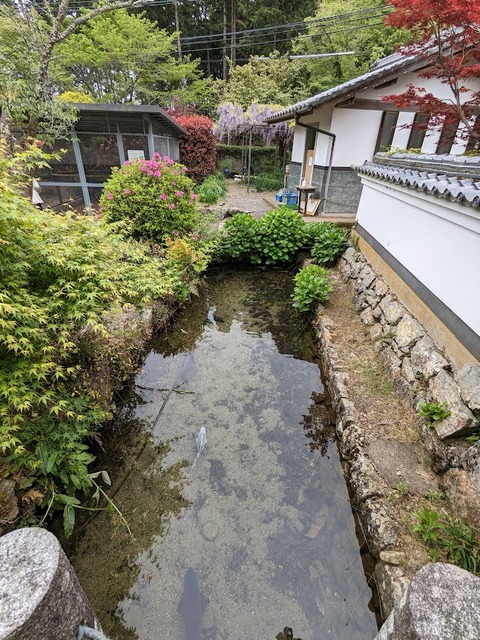 山門手前の堀2
