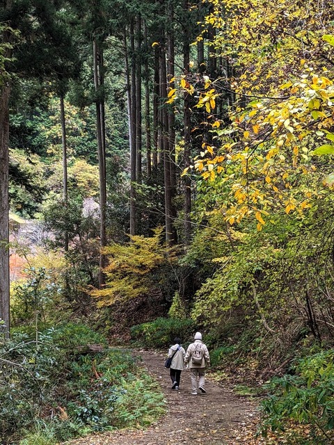 21.登山道3