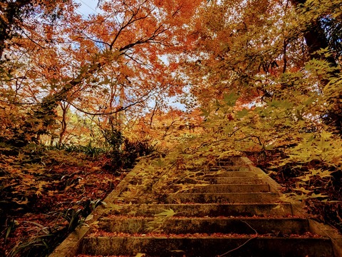 05.石段4